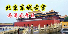 爽插入视频中国北京-东城古宫旅游风景区